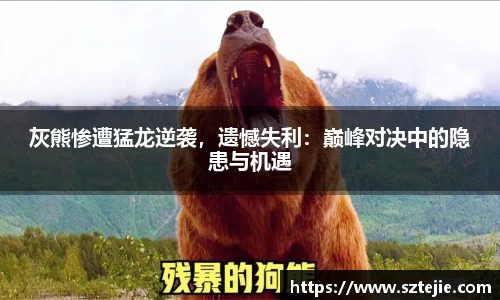 灰熊惨遭猛龙逆袭，遗憾失利：巅峰对决中的隐患与机遇