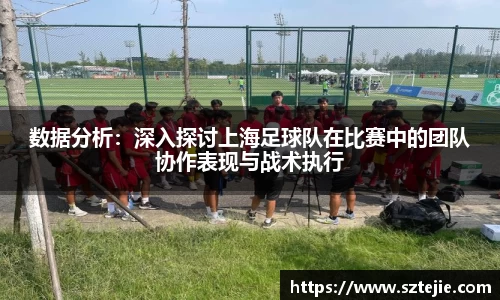 快盈VIII