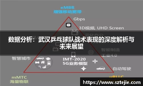 数据分析：武汉乒乓球队战术表现的深度解析与未来展望