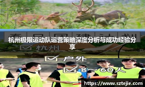 快盈VIII
