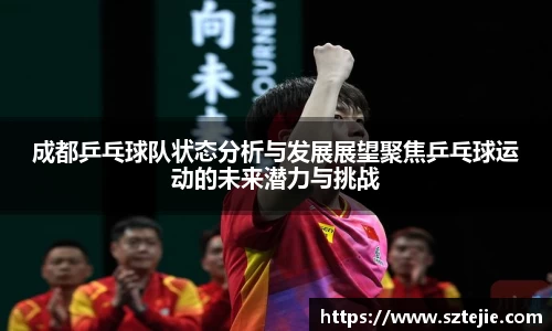 成都乒乓球队状态分析与发展展望聚焦乒乓球运动的未来潜力与挑战