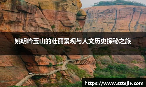 快盈VIII