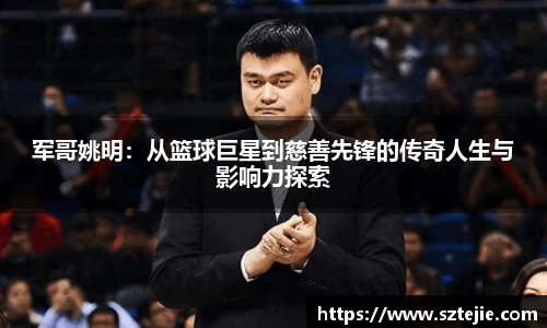 快盈VIII