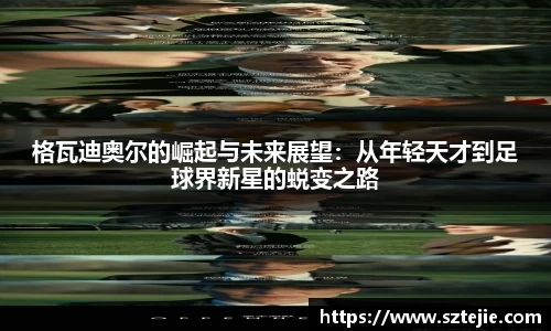快盈VIII