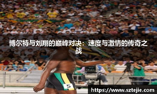 快盈VIII