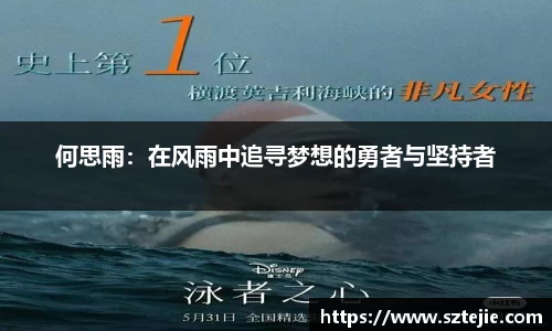 快盈viii