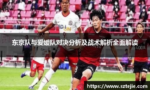 东京队与爱媛队对决分析及战术解析全面解读